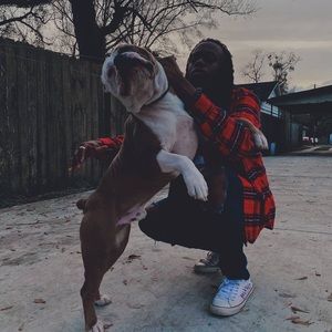 Meet your Posher, All hail